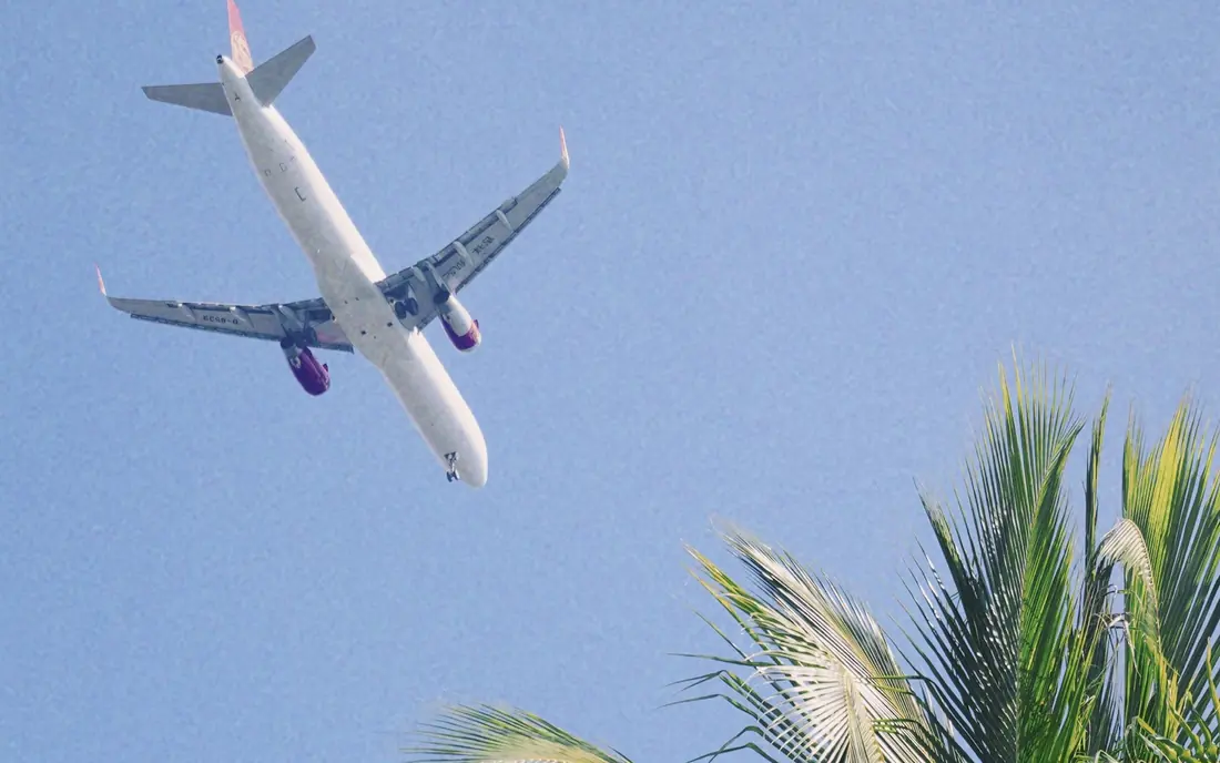 Plane landing over palm trees in Panama