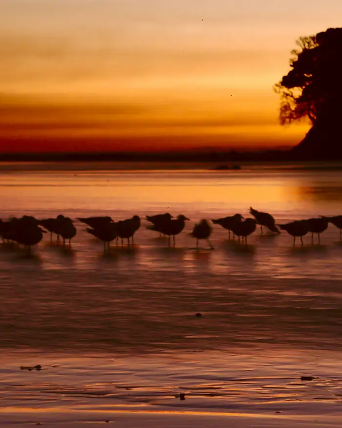 Santa Catalina, Panama